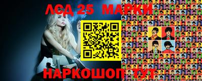 гидропоника Кунгур