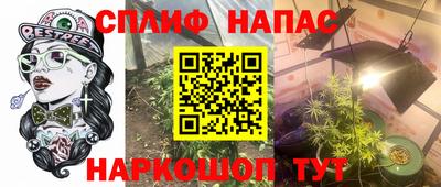 гидропоника Кунгур
