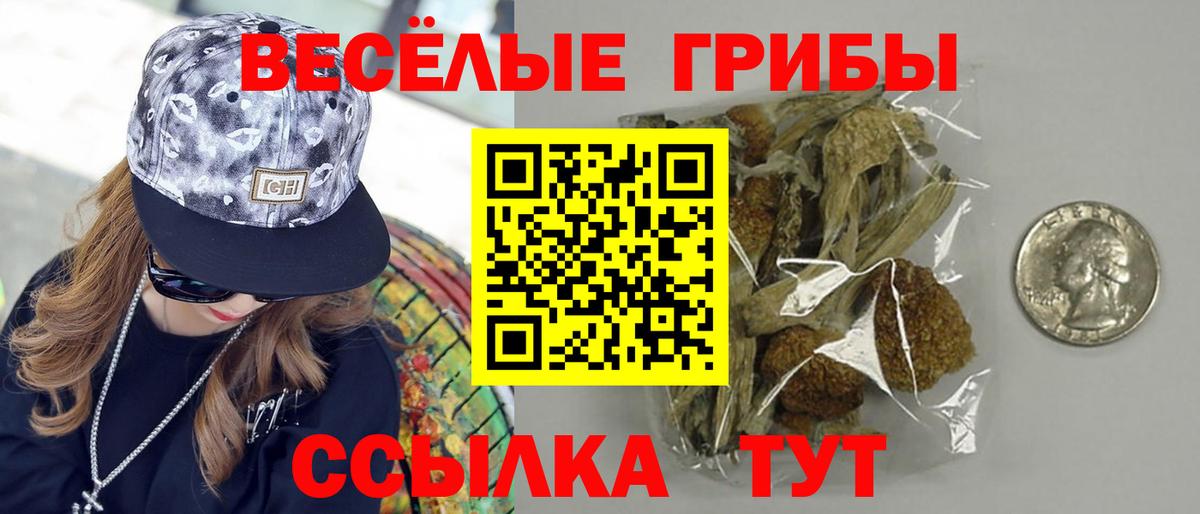 Псилоцибиновые грибы мицелий  Псилоцибиновые грибы MAGIC MUSHROOMS  Калач-на-Дону  Вход с VPN 